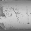 chloride SCC